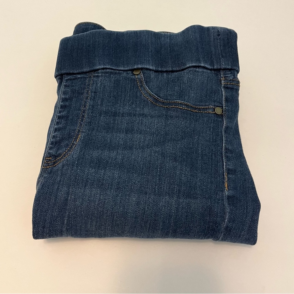 Liverpool Jeggings- Blue- Skinny- Size 29/8P